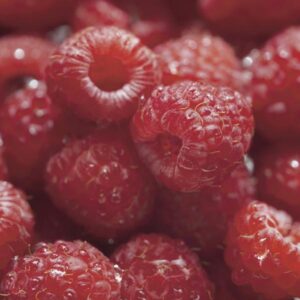 Raspberry